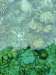 P1090212