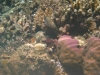 id-sw_2014-12-23-IMG_0029