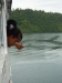 id-sw_2014-12-25-P1090479