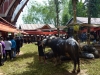id-sw_2014-12-29-P1090747