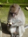id-sw_2015-01-03-P1100036