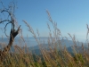 my_2015-12-23-P1120091