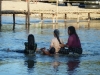 my_2015-12-28-P1120677