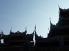 my_2015-12-29-P1120919
