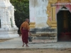 my_2015-12-29-P1120975