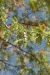 mm_2016-01-06-DSC_0153