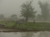 mm_2016-01-06-P1130305