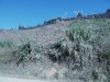 la_2016-12-25_P1000432