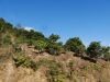 la_2016-12-25_P1000458