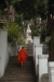 la_2016-12-31_DSC_0008