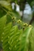 la_2017-01-02_DSC_0101