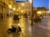 es_2015-05-23_P1020220