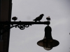 es_2015-05-27_P1020616
