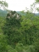 es_2015-05-28_P1020655
