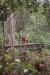 id-bo-2017-12-15-DSC_0027