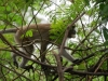 id-bo-2017-12-28-P1030905