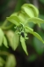 id-bo-2017-12-30-DSC_0015