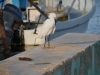 mx_2018-12-13_P1050625