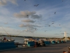 mx_2018-12-13_P1050643