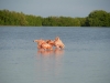 mx_2018-12-14_P1050673