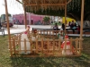 mx_2018-12-20_P1050902
