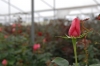 mx_2018-12-26_DSC_0065