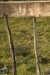 bz_2019-01-04_DSC_0006