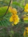 bz_2019-01-04_P1060454