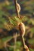 bz_2019-01-05_DSC_0029