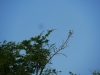 bz_2019-01-05_P1060498