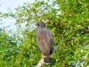 bz_2019-01-05_P1060503