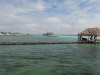 mx_2019-01-09_P1060688
