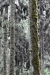 mx_2019-12-18_DSC_0516