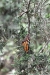 mx_2019-12-18_DSC_0532