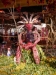 mx_2019-12-23_P1070685