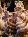 mx_2019-12-23_P1070717