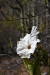 mx_2019-12-24_DSC_1110