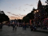 mx_2019-12-24_P1070759