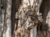 mx_2019-12-25_P1070879