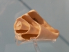 mx_2019-12-28_P1080069