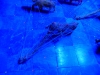 mx_2019-12-28_P1080117
