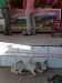 gt_2020-01-02_P1080252