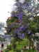 gt_2020-01-06_P1080382