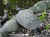 gt_2020-01-08_P1080400