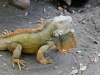 gt_2020-01-08_P1080415
