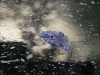 gt_2020-01-08_P1080426