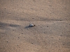 gt_2020-01-08_P1080452