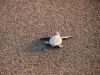 gt_2020-01-08_P1080457