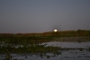 gt_2020-01-10_DSC_2460