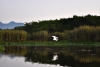 gt_2020-01-10_DSC_2465